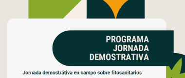 CARTELL DE L'ESDEVENIMENT