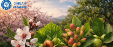 curso ciheam Innovación y sostenibilidad en la producción de frutos secos 