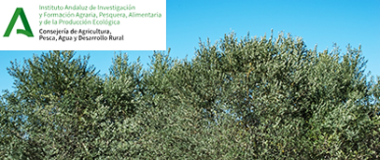 curso ifapa formación especializada jornada avances en el control sanitario del olivar