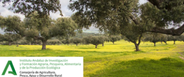 curso ifapa formación gestión de los pastos en la dehesa