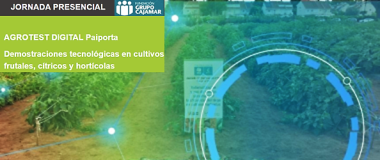 Xornada AGROTEST DIXITAL en Paiporta. Demostracións tecnolóxicas en cultivos de froitas, cítricos e hortalizas