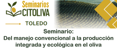 Seminari citoliva Toledo 25 i 26 de maig