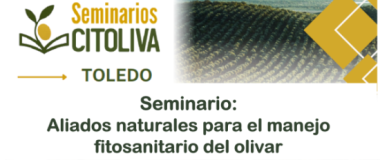Seminari citoliva Toledo 27 i 28 de maig