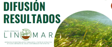 WEBINAR GO LINOMAR