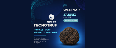 CARTEL DEL EVENTO