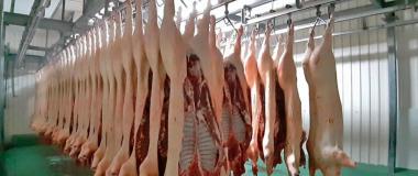 BIENESTAR ANIMAL EN MATADEROS. ONLINE