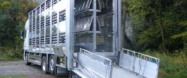BIENESTAR ANIMAL EN EL TRANSPORTE. ONLINE