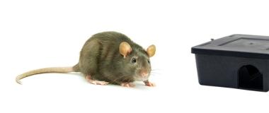 CURSO DE NIVEL ESPECIAL PARA TRATAMIENTO CON PRODUCTOS MUY TÓXICOS (T+) Y CARCINÓGENOS, MUTÁGENOS Y TÓXICOS PARA LA REPRODUCCIÓN (CMRS). ZARAGOZA
