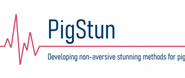 Webinar del Proyecto PigStun - España: presentación de cuatro alternativas al aturdimiento con CO2
