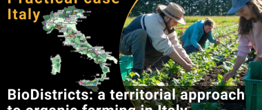 BioDistritos: un enfoque territorial de la agricultura ecológica en Italia