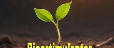 Formación Asesores: Curso Bioestimulantes en agronomía