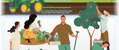 Certificado Profesional Actividades auxiliares en agricultura