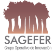 SAGEFER.png