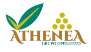 GO Athenea en akisplataforma.es