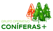 logo coníferas+