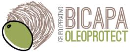 Logo GO bicapa-oleprotect