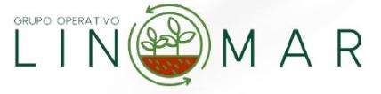 Logo GO Linomar