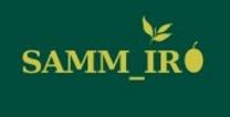 Logo GO Samm_iro