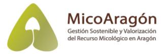 Logo MicoAragón