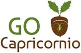 Logo GO Capricornio