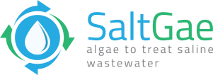 logo proyecto horizonte saltgae