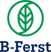 proyecto horizonte b-ferst