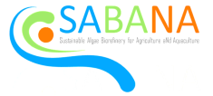 logo proyecto horizonte sabana