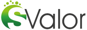 Logo GO SValor