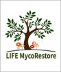 life12