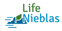 Logo Life Nieblas