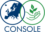 logo Console