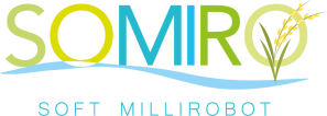 Logo Somiro
