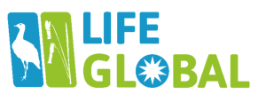 Logo lifeglobal