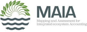 Logo MAIA