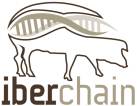 Logo GO Iberchain
