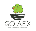 Logo GO GOIAEX
