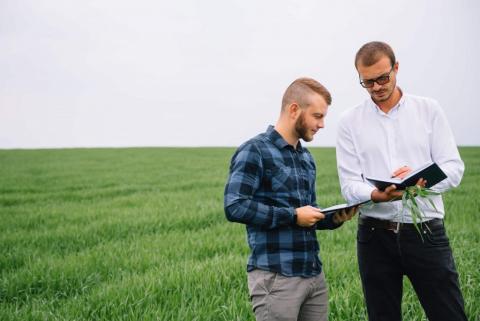 Dos técnicos inspeccionando un campo de trigo