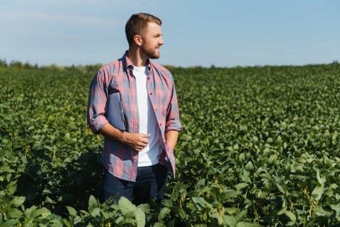 Ingeniero agrónomo inspeccionando cultivos de soja