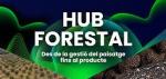 hub forestal