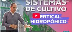 sistemas de cultivo
