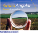 Podcast Grano Angular
