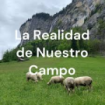 Podcast La realidad de nuestro campo