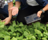 agricultorescontablet_tcm30-680843