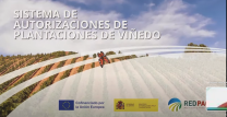 sistema de autorizaciones plantaciones de viñedo