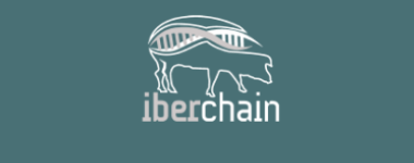 iberchain2