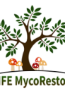 Logo Mycorestore