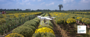 DRONES AGRICOLAS