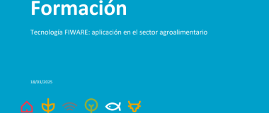 cartel del curso